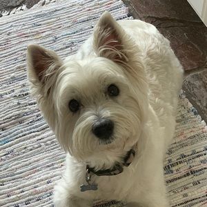 Meet your Posher, Mallory